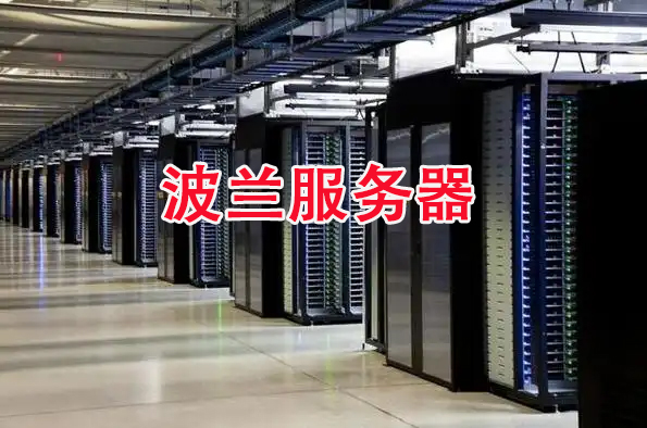 波兰服务器有哪些品牌？